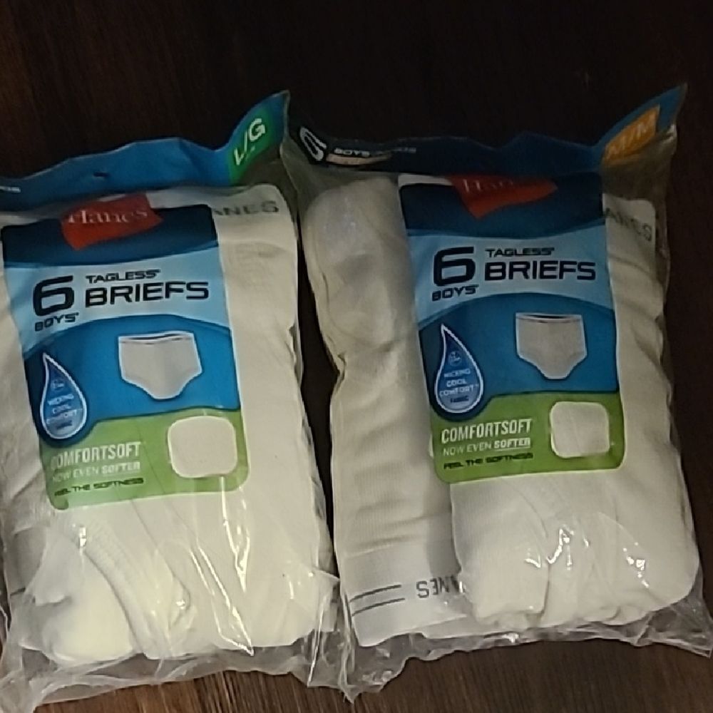 Hanes Tagless Briefs